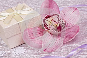 Gift and orhid flower