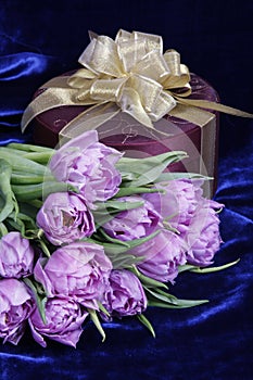 Gift. Present. Tulips, box.