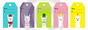 Gift tag set. Alpaca llama. Cute cartoon funny lama character. Colorful paper tags. Happy Valentines Christmas St Patrick day