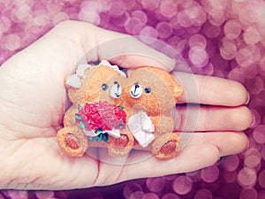 Gift teddy bears fiancee bride in hand valentine`s day love