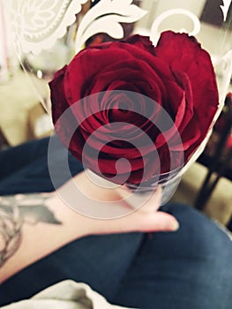 Gifted rose tattoo valentines present