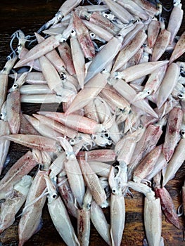 Various seafood in markets of Southeast Asia photo