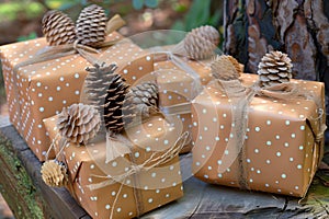 gifts topped with pine cones and attached with compostable adhesives