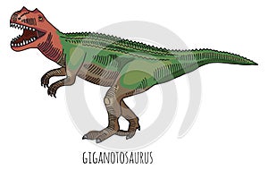 Giganotosaurus drawing. Ancient animal. Prehistoric wild predator