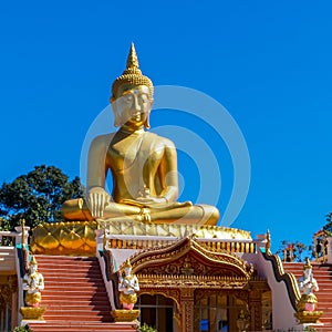 Gigant golden Buddha at Wat Hua Lang in Lotus posture