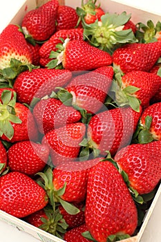 Gigant strawberries