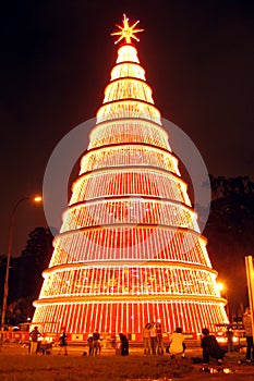 Gigantic Christmas tree at night