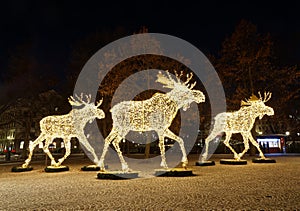 Gigantic elk or moose christmas decoration made of led light