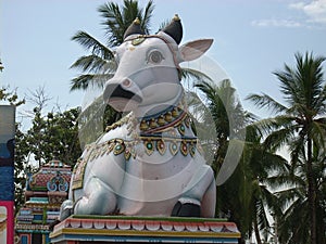 The gigantic Idol of Nandi,the Bull God, outside a Shiva Temple in South India