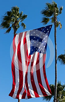 Gigantic United States Flag Hangs Between Palms