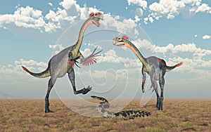 Gigantoraptor and Titanoboa