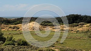 Gigh angle view of the dunes of `De Westhoek` nature reserve, De Panne, Belgium