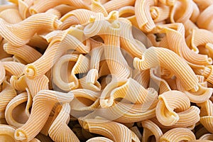 Gigli Pasta