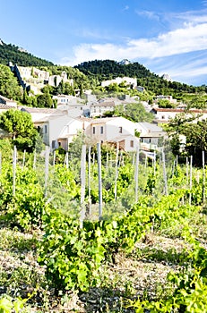 Gigondas with vineyard, Provence, France