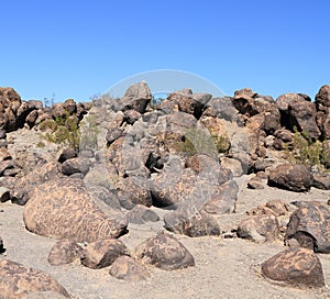 Gila Bend, Arizona: Painted Rock Petroglyph Site