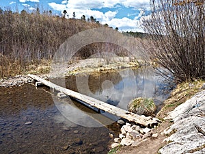 Gila National Forest in New Mexico