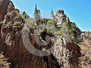 Gila National Forest in New Mexico