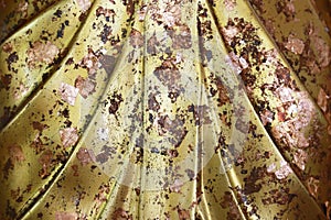 Gild texture background