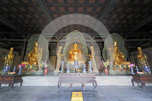 Gilded Buddha Statues