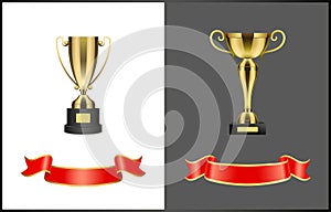 Gilded Contest or Competition Awards and Ribbons photo