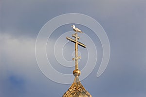 gilded cross with a seagull sitting on top