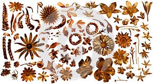 Gilded Real Flora Parts