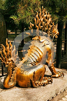Gilded unicorn sit in the Imperial Garden of the Forbidden City. View from the back. Beijing