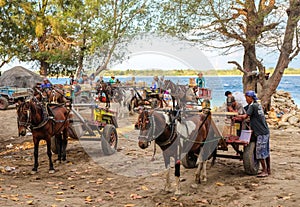 Gili Trawangan, Lombok/Indonesia - September 11,2017 : Horse Carriage at the island of Gili Tranwagan, Gili Islands have banned