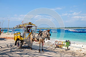 Gili Trawangan, Lombok/Indonesia - September 11,2017 : Horse Carriage at the island of Gili Tranwagan, Gili Islands have banned