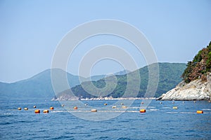 Gillnetting or fishing net floating near island