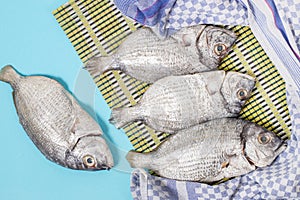 Gilt-head bream fish