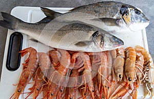 Gilt-head bream, sea bass, prawns and langoustines