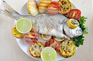 Gilt head Sea bream Fish