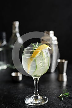 Gin fizz cocktail