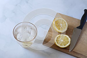 Gin Fizz Cocktail  Knife And Lemon