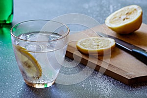 Gin Fizz Cocktail  Knife And Lemon