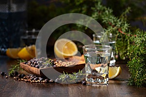 Gin with ingredients on an old wooden table