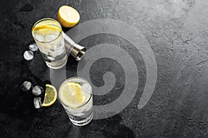 Gin Tonic Cocktail