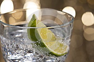 Gin Tonic Cocktail