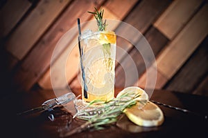 gin tonic cocktail, alcoholic drink for hot summer days. Refreshment cocktail with rosemary, ice and lime.