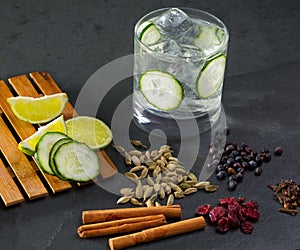 Gin tonic cocktail with cucumber cloves cardamom cinnamon and juniper photo