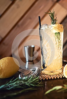 Gin tonic cocktail drink in pub, restaurant or nightclub. Refreshment cocktail drink served cold