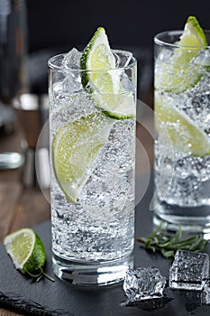 Gin and tonic cocktail with lime and ice