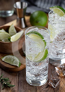 Gin and tonic cocktail with lime and ice