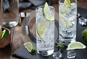 Gin and tonic cocktail with lime and ice