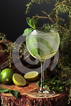 Gin and Tonic cocktail with lime and mint