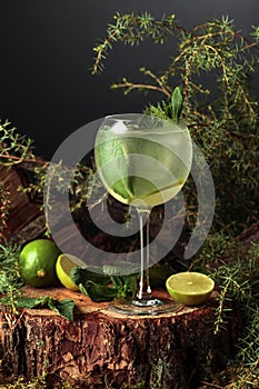 Gin and Tonic cocktail with lime and mint