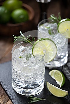 Gin and tonic cocktail with lime. rosemary and ice