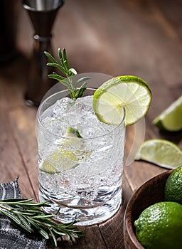 Gin and tonic cocktail with lime. rosemary and ice