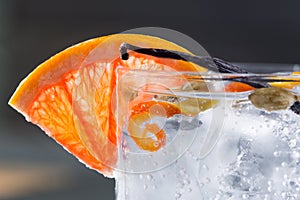 Gin tonic cocktail macro with ice grapefruit cardamom vanilla photo